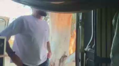 MascVersFFun — modelo de webcam en línea en cam4