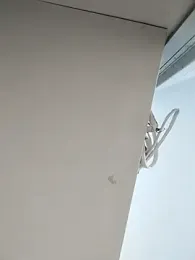 DannaDooll99 — stripchat