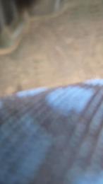 Escape74 — Cam4 stream photo (Aug 2025)