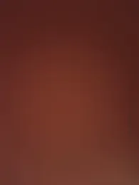 HungasiancockTW — Stripchat stream photo (May 2026)