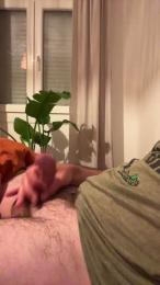 Basquedick90 — Cam4 profile photo