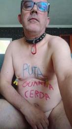 perrasum3 — Cam4 stream photo (Jun 2026)