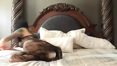 AllOiledUp — stripchat