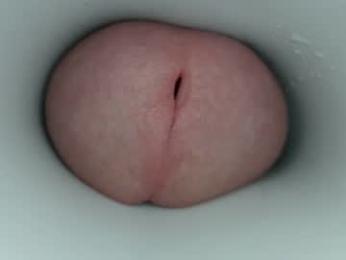 jeffrodgerschaturbat — Chaturbate stream photo (Apr 2026)