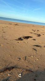 luc2345 — Cam4 stream photo (Apr 2026)