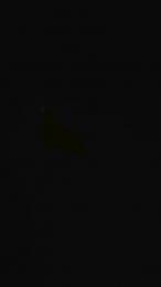 JackPott69 — Cam4 stream photo (Jul 2026)