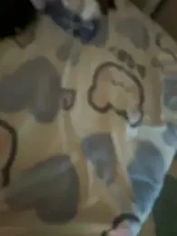 Misstakenhot — Stripchat stream photo (Feb 2026)