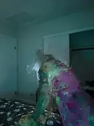 CherryBombBomb — Stripchat stream photo (Aug 2026)