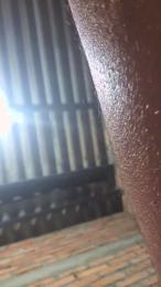 Rodriguez_ikarl — Cam4 stream photo (Dec 2025)