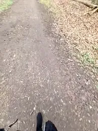 LadyLeni — Stripchat stream photo (Apr 2026)