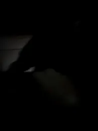 Bestpipe — Stripchat stream photo (Sep 2025)