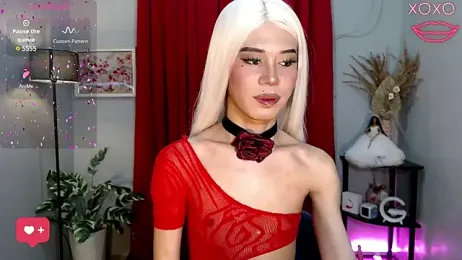 MissTransStella69 — Stripchat stream photo (Nov 2025)