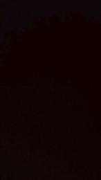 Nersugolg — Cam4 stream photo (Jan 2026)