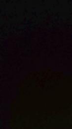 Nersugolg — Cam4 stream photo (Jan 2026)