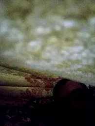 Jozipp — Stripchat stream photo (Jun 2025)