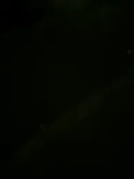 Sosisonchik — Stripchat stream photo (Oct 2025)