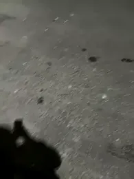 Sosisonchik — stripchat