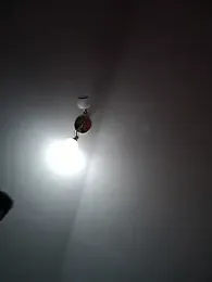 Kosminkom — Stripchat stream photo (Sep 2026)