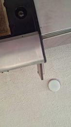 isabella323 — Cam4 stream photo (Apr 2026)