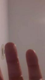 Agelessheat — modelo de webcam en línea en cam4