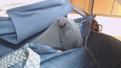Raulistaa_92 — Cam4 stream photo (Mar 2026)