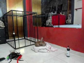 Scarletthomas — Bongacams stream photo (May 2025)