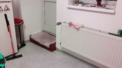 newbi93 — Cam4 stream photo (Apr 2026)