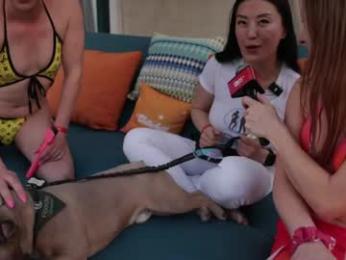 cb15 — modelo de webcam en línea en chaturbate