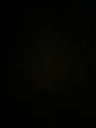 MeimoDog — Stripchat stream photo (Sep 2026)