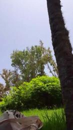 ioanacrazy4 — Cam4 stream photo (Jun 2025)