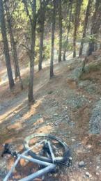 Laoquedad — modelo de webcam en línea en cam4