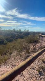 Laoquedad — Cam4 stream photo (Apr 2026)