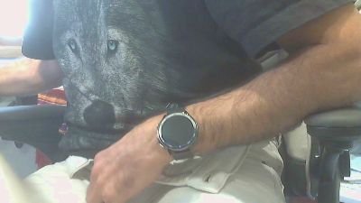 chupatorman — Cam4 stream photo (Apr 2026)