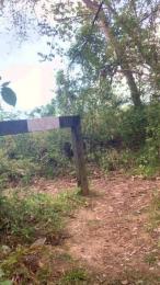 Joueurh — modelo de webcam en línea en cam4