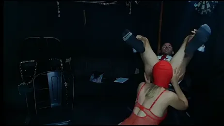 Owner_and_Asset — stripchat