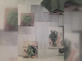 Anesteishen — Bongacams stream photo (Mar 2026)