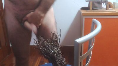 txintxo — modelo de webcam en línea en cam4