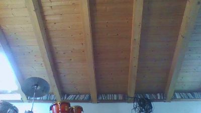 shaggyvery — modelo de webcam en línea en cam4