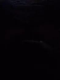 annyaparis — Stripchat profile photo