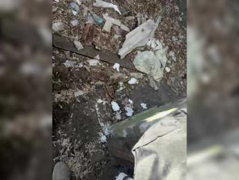 Pix1e — Bongacams stream photo (Apr 2026)