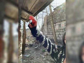 Pix1e — Bongacams stream photo (Apr 2026)