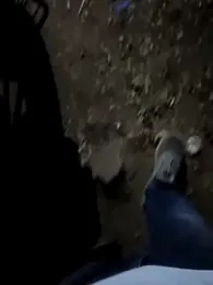 indian_pavi — Stripchat stream photo (Feb 2026)