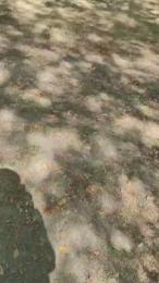 Sugar_boy_89_ — Cam4 stream photo (Sep 2026)