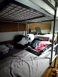 LissieDemons — Stripchat stream photo (Feb 2026)