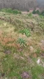 gutig_14 — Cam4 stream photo (May 2026)
