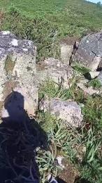 gutig_14 — Cam4 stream photo (May 2026)