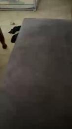 Pollonmario — cam4