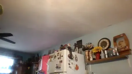 lilbishmiss — Stripchat stream photo (Feb 2026)