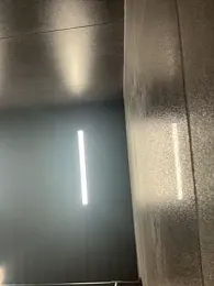 SashaCatt — Stripchat stream photo (Mar 2026)