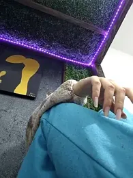 pleasure_of_life — Stripchat stream photo (Apr 2026)